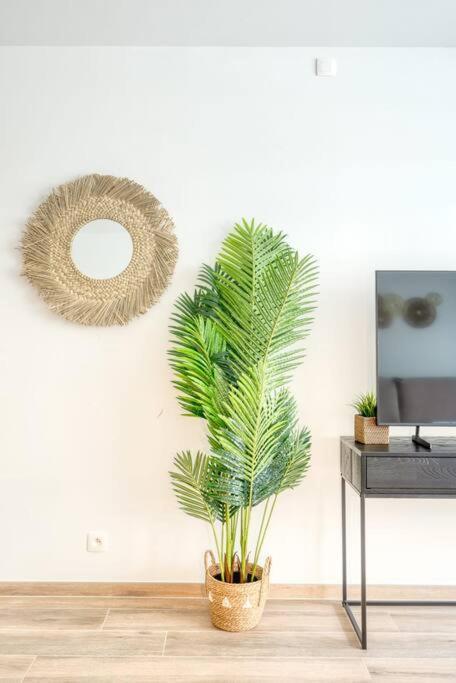 5-guest In Ostend, Steps From The Apartment